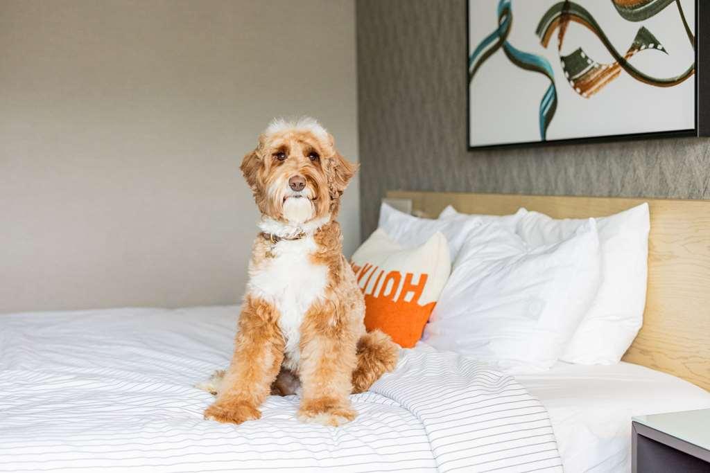 Cambria Hotel Burbank Airport الغرفة الصورة