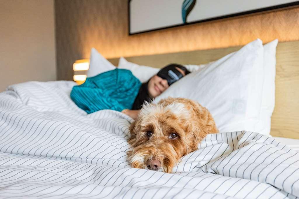 Cambria Hotel Burbank Airport الغرفة الصورة